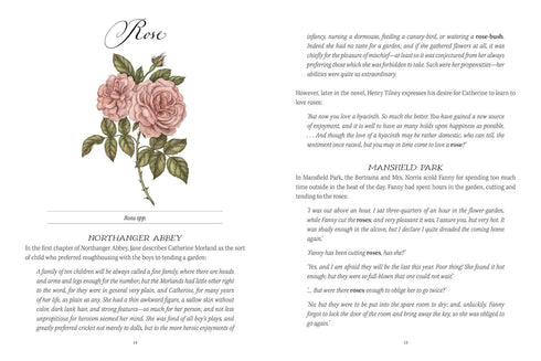 JANE AUSTEN'S GARDEN: A BOTANIAL TOUR OF THE CLASSIC NOVELS - WILLIAMS. MOLLY